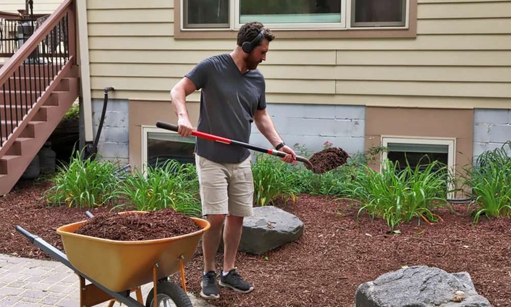 Reliable Tools for Maintaining Your Backyard Without Breaking the Bank